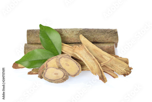  Eurycoma longifolia with green leave  on white background.