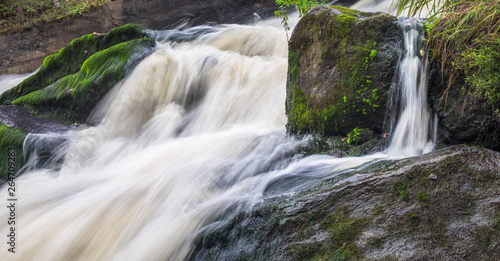 The rapid flow of the river  rocky coasts  rapids  bright green vegetation in Finland