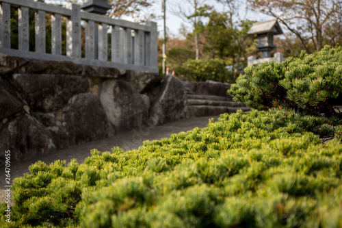 神社の風景 © akiti