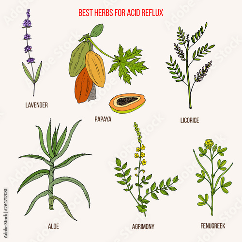 Best herbal remedies for acid reflux