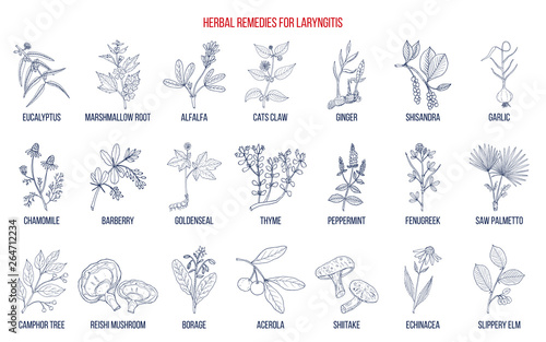 Best herbal remedies for laryngitis