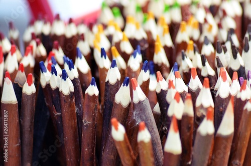 crayon bio