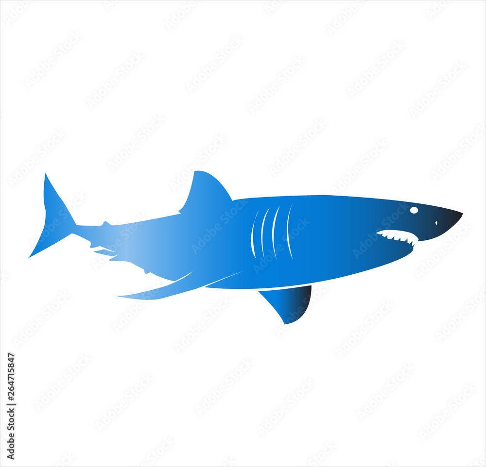 shark vector logo shark vector logo