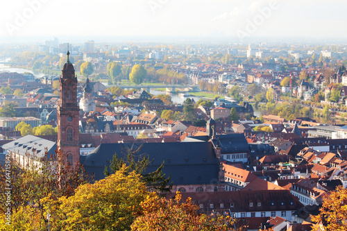 Panorama of Heidelberg opening from the castle hill, Germany