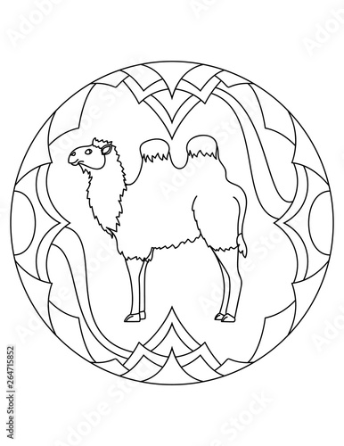 Mandala with an animal. Bactrian camell in a circular frame. Coloring page for kids and adults. photo