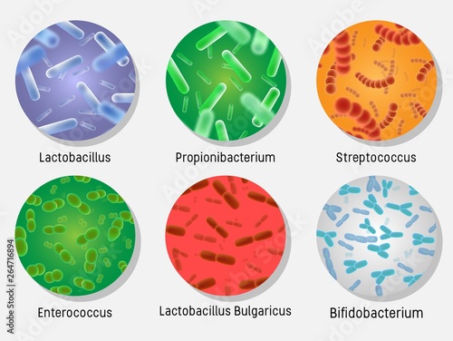 Bacterial flora in circle set, vector isolated illustration