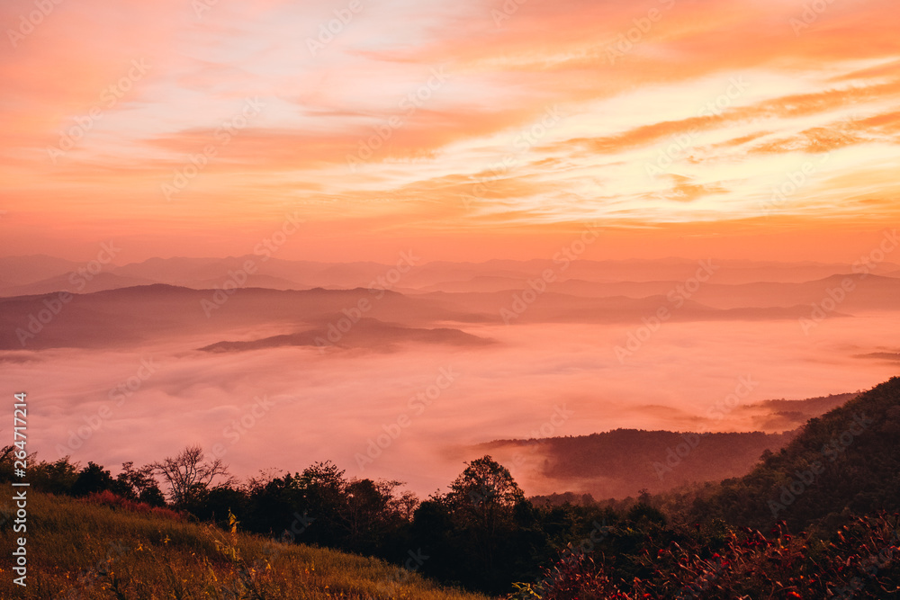 Obraz premium Dawn of Sea Fog on the top of the Sierra at Doi Samer Dao, Nan, Thailand