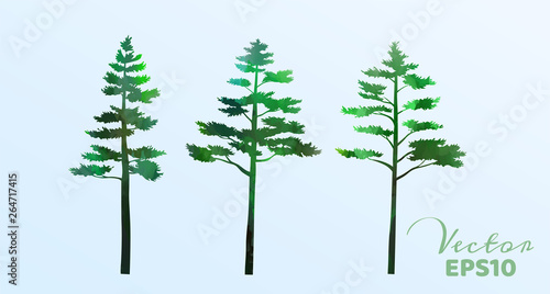 Set of watercolor pine trees . Vector illustration