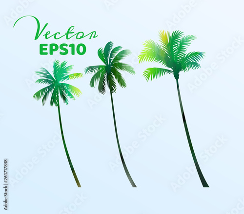 Set of watercolor palm trees . Coconut plant isolated. Vector illustration