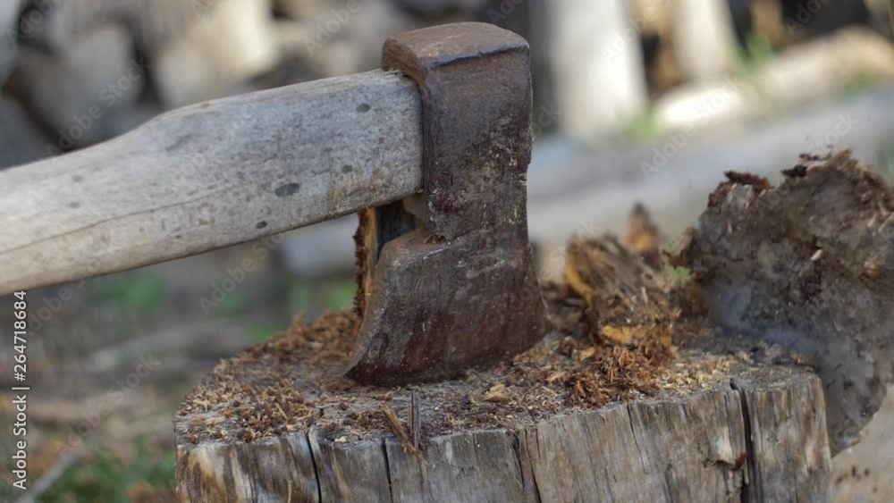 Logger Chopping Wood with Axe in Slow Motion Logger Chopping Wood with Axe in Slow Motion