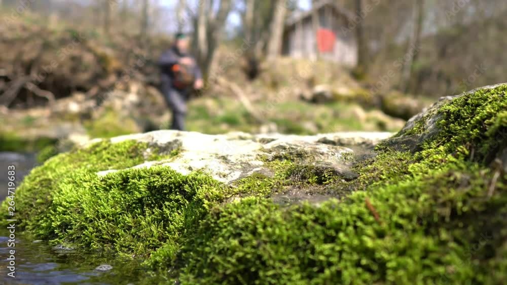 4k fisherman Fly Fishing in a small stream in Switzerland catching brown trout (Salmo Truta Fario). Sustainability and nature pleasure time outdoors enjoyment concept. 4k fisherman Fly Fishing in a small stream in Switzerland catching brown trout (Salmo Truta Fario). Sustainability and nature pleasure time outdoors enjoyment concept.