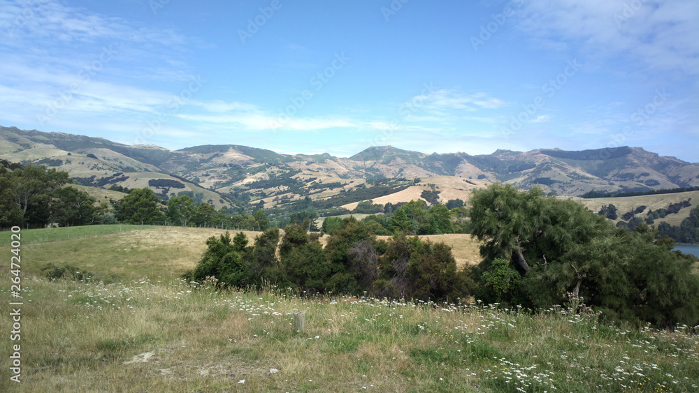 Naklejka premium New Zealand