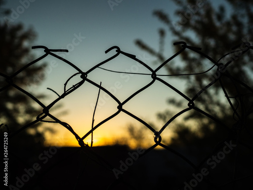 The fence and the evening sunset. Silhouette of trees in the yard