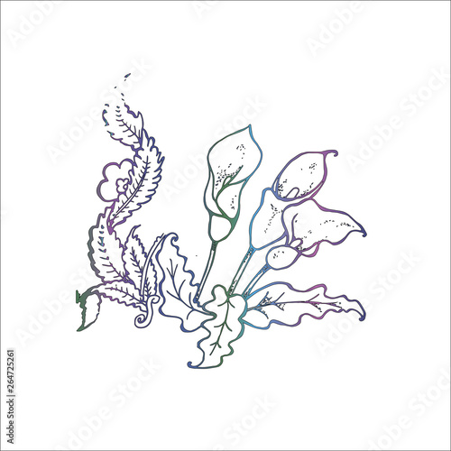 Gradient illustration of a bouquet of spathiphyllum. Woman's happiness.