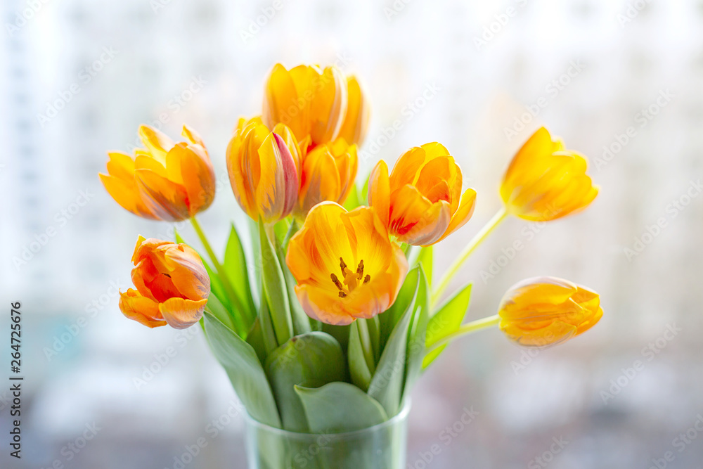 Spring tulips  in a vase near the window