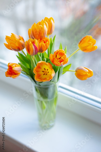 Fototapeta Naklejka Na Ścianę i Meble -  Spring tulips  in a vase near the window