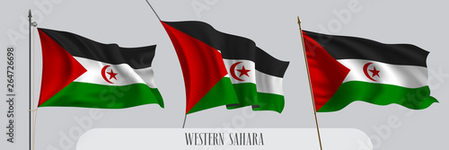 Set of Western Sahara waving flag on isolated background vector illustration