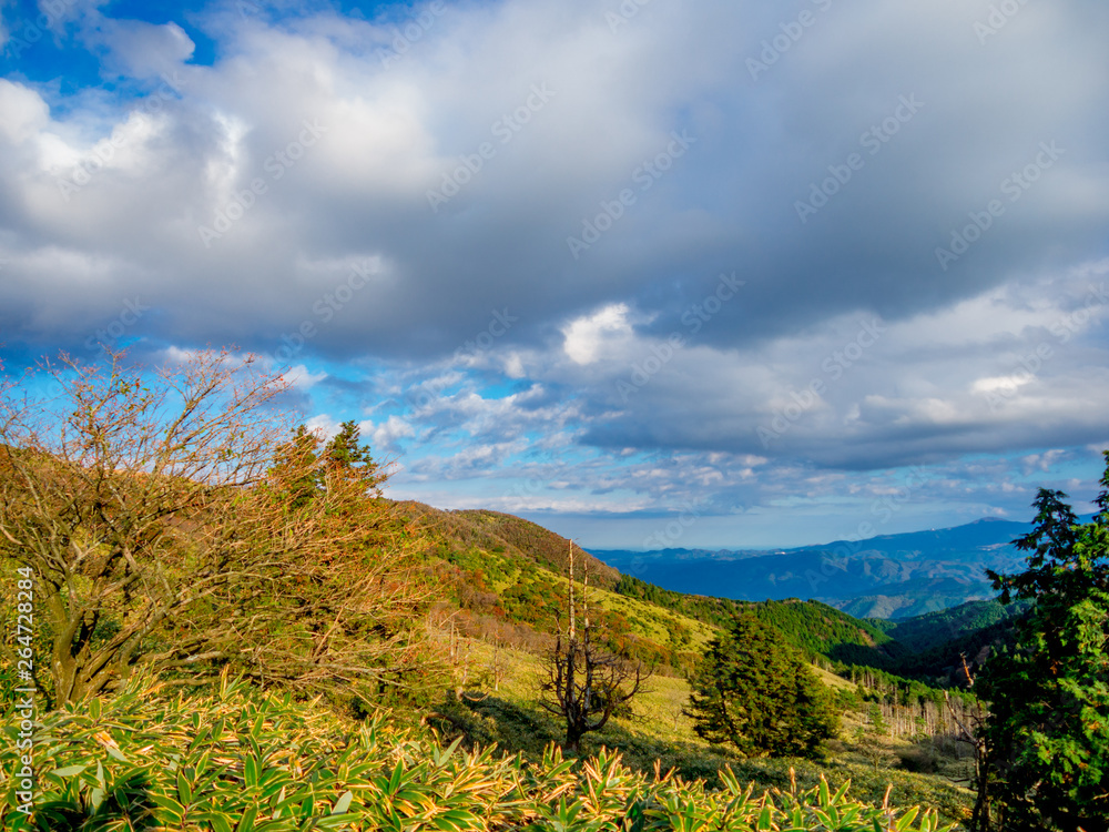 Fototapeta premium 【静岡県伊豆半島】伊豆山稜線歩道からの風景【秋・だるま山周辺】