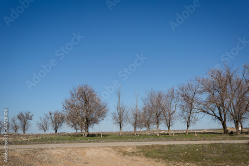 A spring village landscape in the daytime 