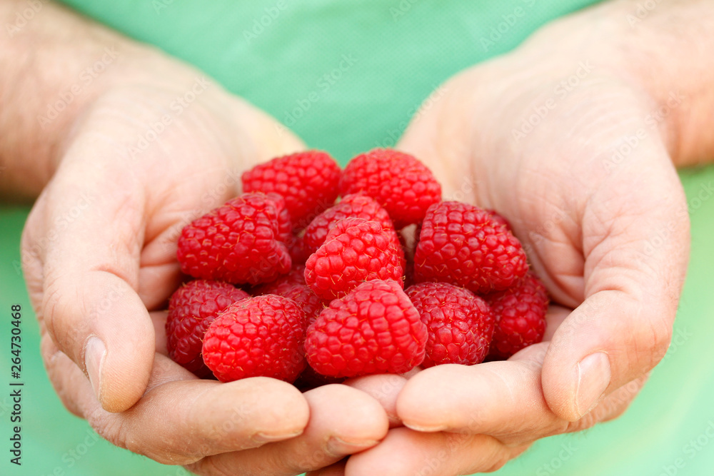 Raspberries. Raspberries.
