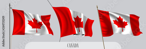 Set of Canada waving flag on isolated background vector illustration