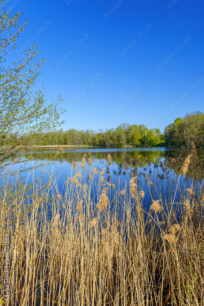 View at a lake with reflections in the springtime View at a lake with reflections in the springtime