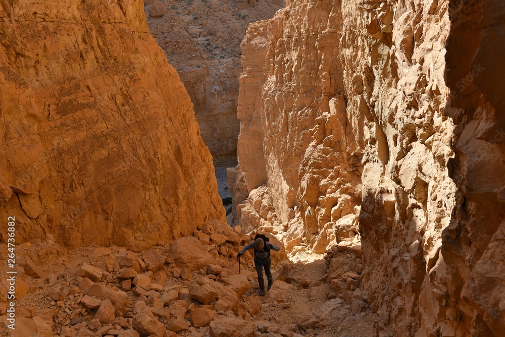 Middle-aged woman hiking in rock break in wadi Heymar, Judea desert, Israel