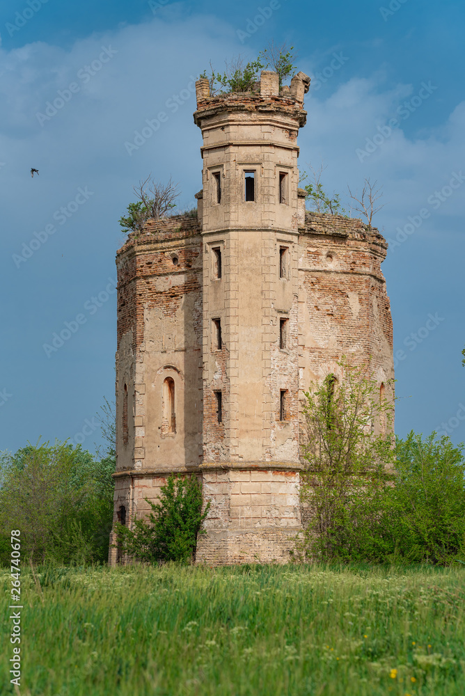 an old abandoned medieval castle in the forest with a beautiful sky an old abandoned medieval castle in the forest with a beautiful sky
