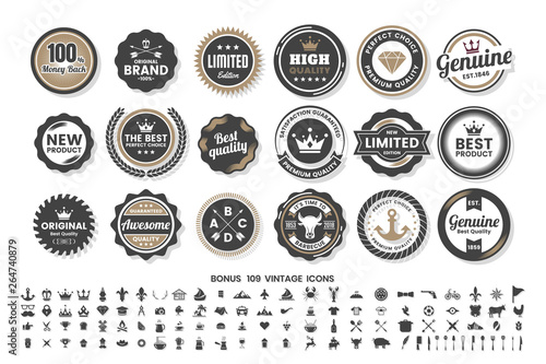 Vintage Retro Vector Logo for banner