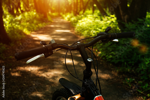 Bicycle, forest path in the Park. bike path, sports. healthy lifestyle.