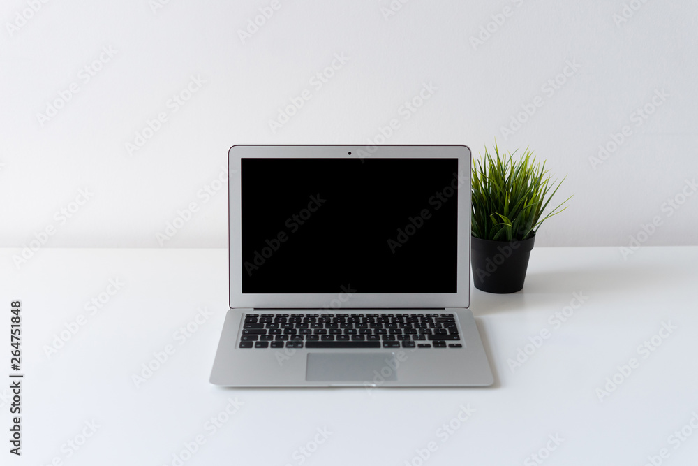 Fototapeta premium Open laptop and green plant on the desk with white background