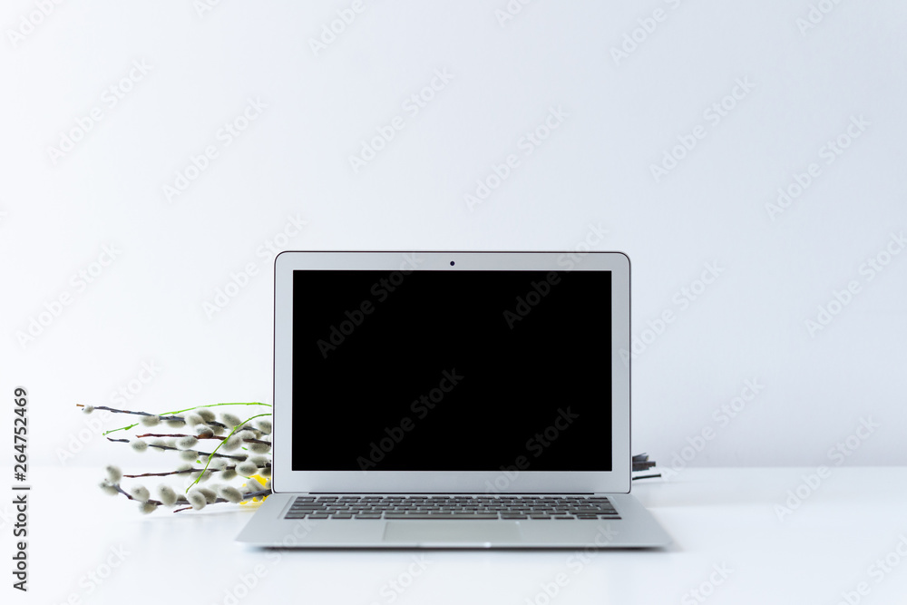Fototapeta premium Open laptop and easter catkin on the desk with white background