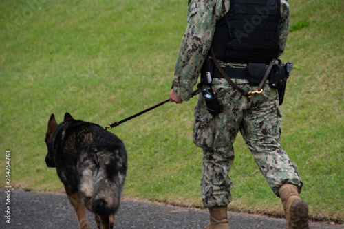 軍人と軍用犬