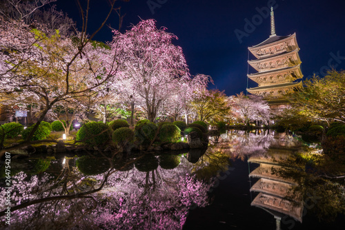 Foto 京都　東寺の五重塔と桜　夜景