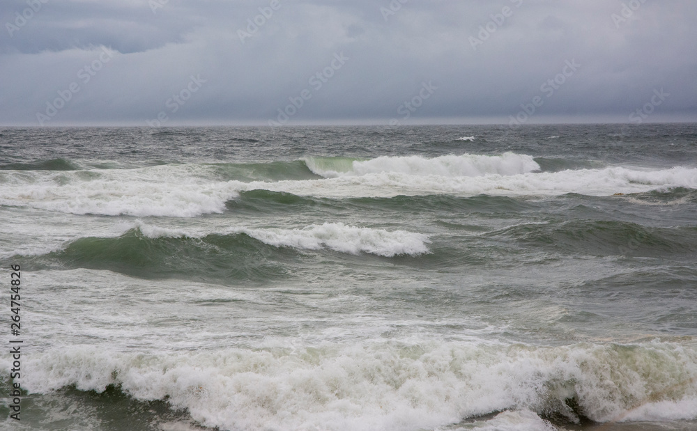 Surf at Cisco