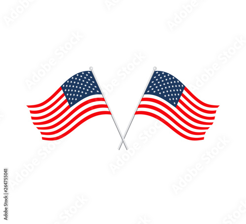 Flag usa icon vector
