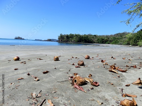 Strand mit Kokosnüssen