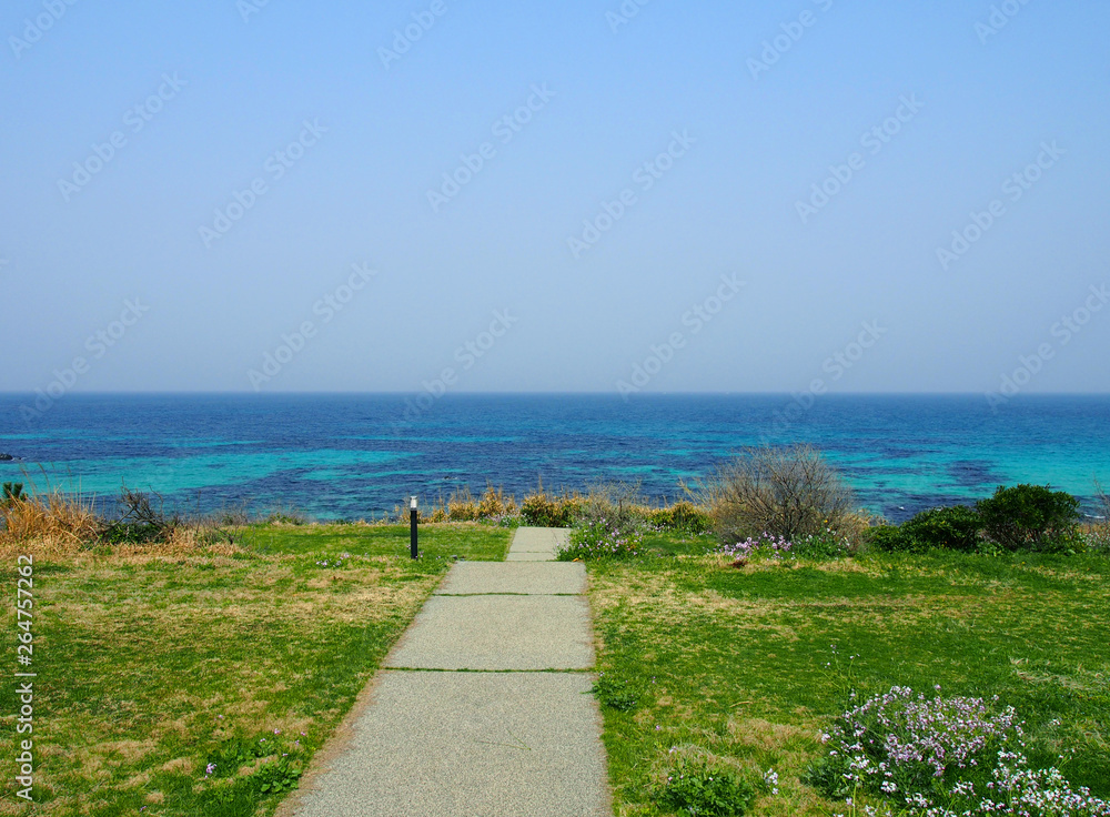 海へ続く道 海へ続く道
