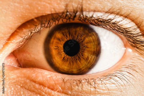 brown eye