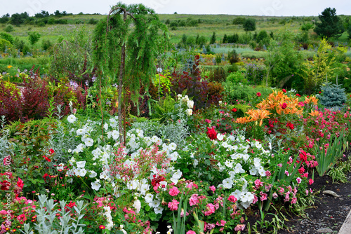 Fototapeta Naklejka Na Ścianę i Meble -  Flower Paradise in the Park