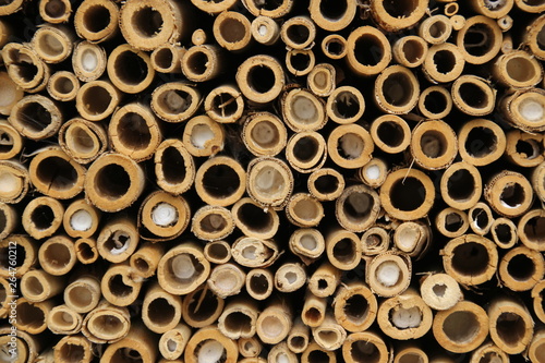 Piles of wood. © audrey