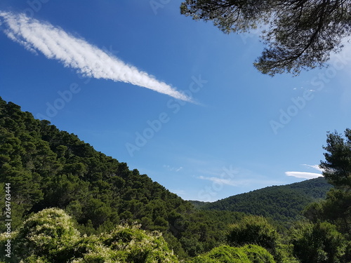  Fields in Provence in the summer with some clouds