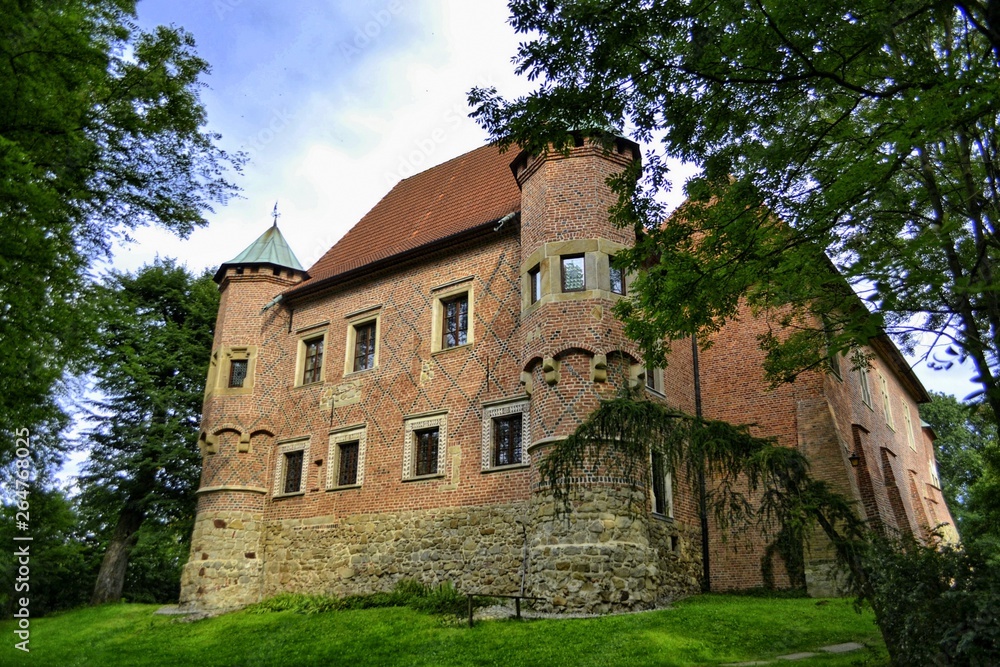 Zamek w Dębnie w Małopolsce