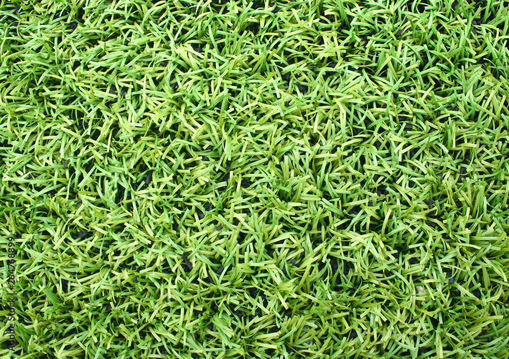Natured green grass field texture backdrop background Natured green grass field texture backdrop background