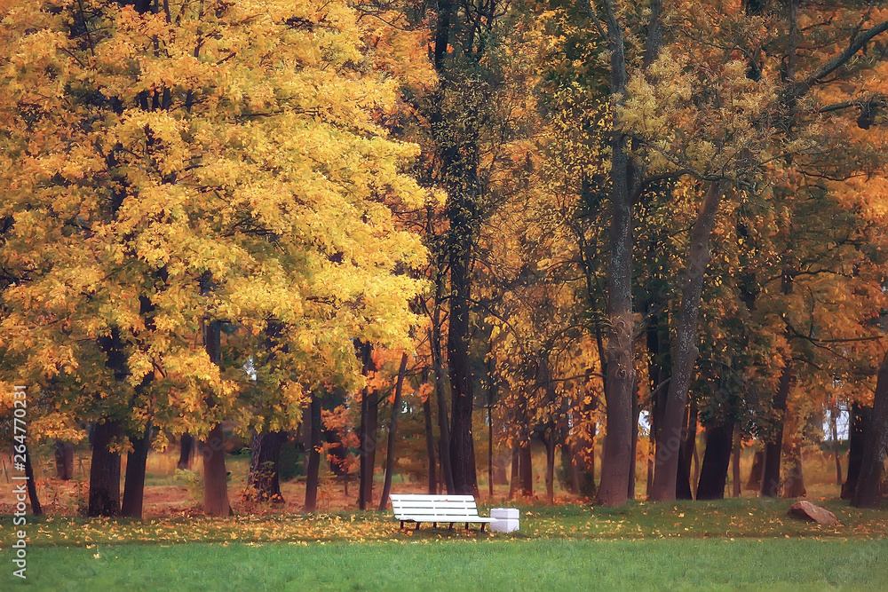 October landscape / autumn in the park, yellow October trees, alley in the autumn landscape