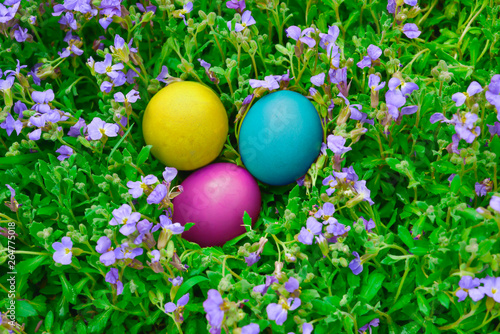easter eggs lie on the blooming juicy grass on sunday morning