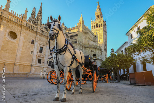 Horse carriage in Seville, the Giralda cathedral (Catedral de Santa Maria de la Sede) in Seville, Spain