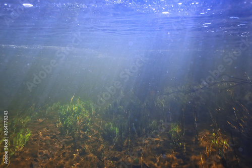 underwater texture of water in a lake / underwater photo freshwater ecosystem, water texture background © kichigin19
