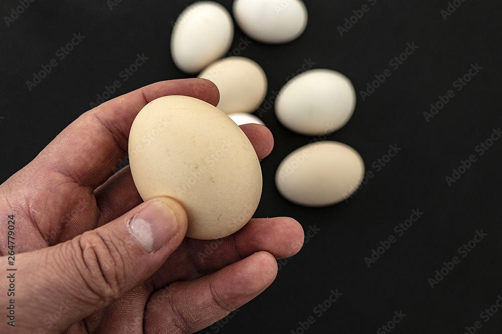 Eat real organic chicken eggs for your health, organic chicken eggs on a black background, Eat real organic chicken eggs for your health, organic chicken eggs on a black background,
