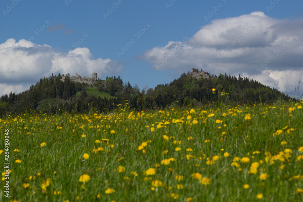 Ruine Frei und Eisenberg während der Löwenzahnblüte im Frühling Ruine Frei und Eisenberg während der Löwenzahnblüte im Frühling